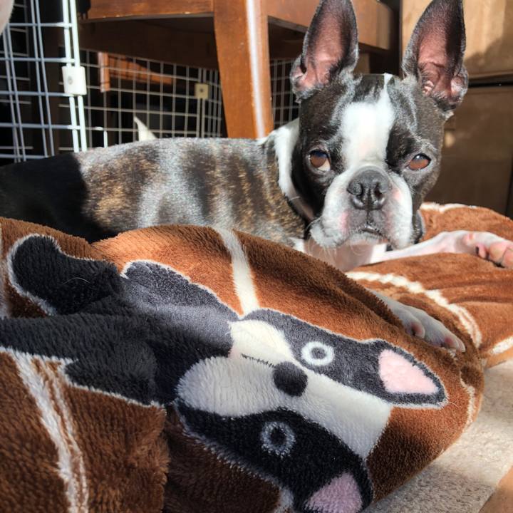 69ae92c4 79ab 473a 956b c1d6d08312b0 1640665171068