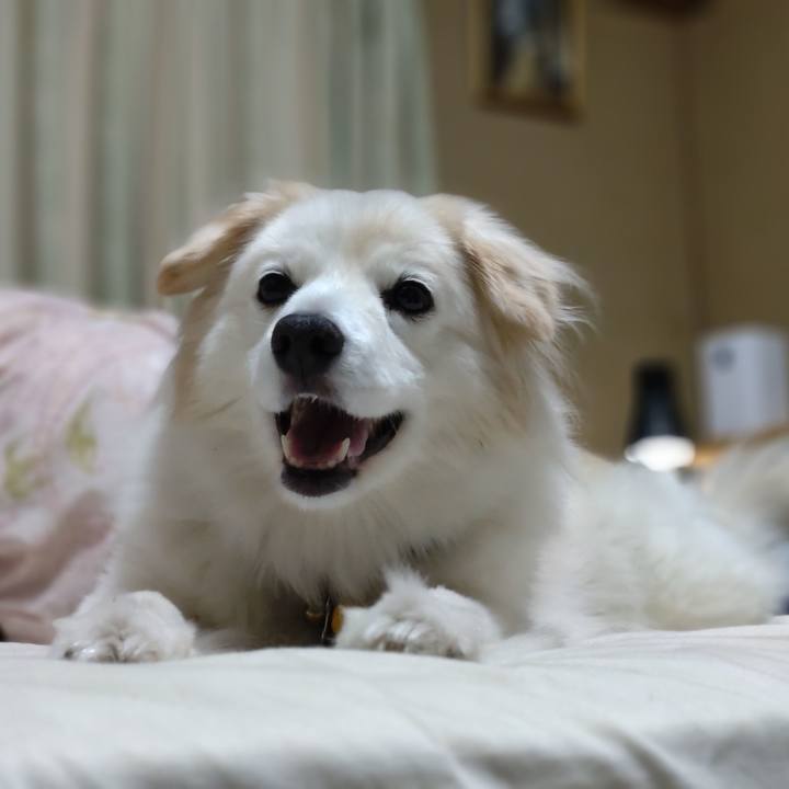 69ae9ec6 1263 4a4d 938f 73ced13a41fc 1653513228219