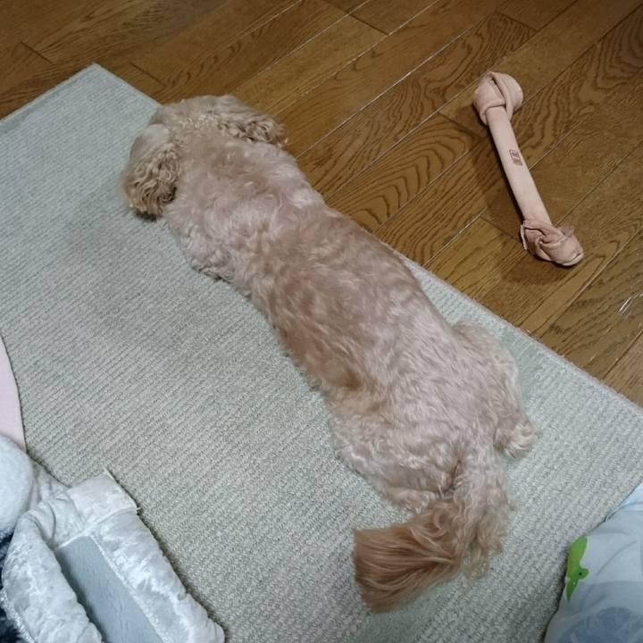 69aeac49 86a0 4b84 9014 3959e2abbd83 1553689803368