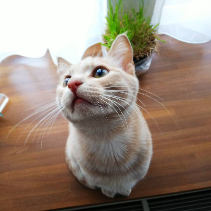 69aec61e b1d4 4e98 895a 35c4cb97047e 1545865285372