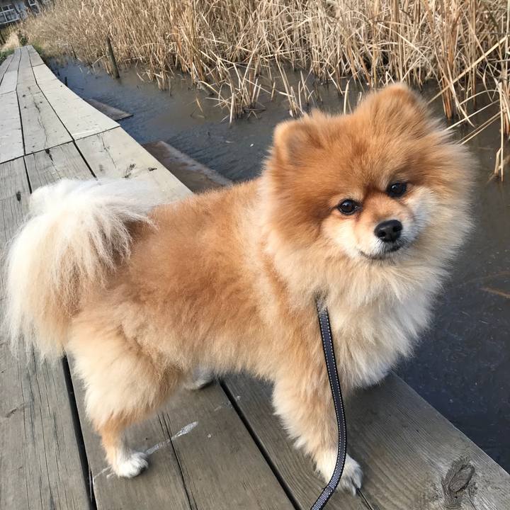 69aef321 e2da 4eb8 b07c d5e707888c4a 1513561142764