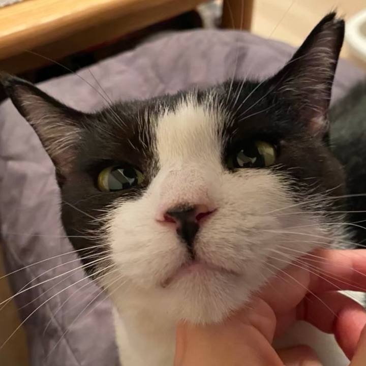 69aef6b5 6729 4d61 89df fd01fdb7c980 1722678826716