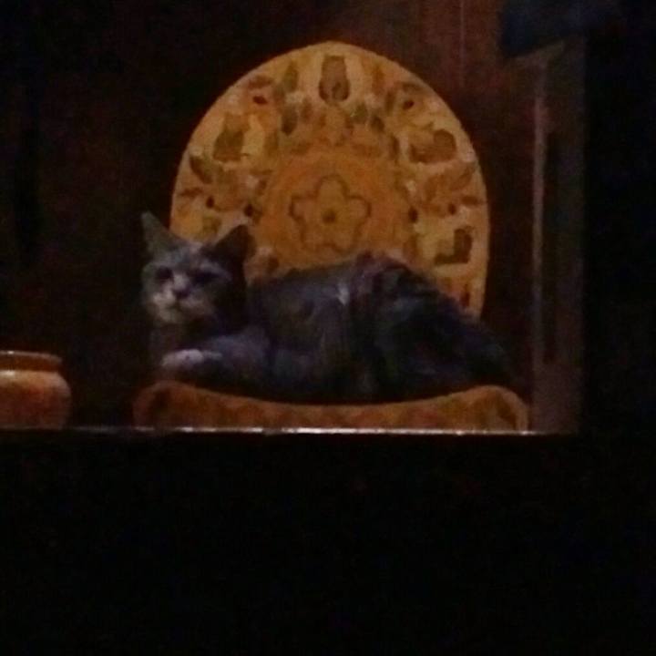 69af317b f449 4444 8cb2 5924bcf3f3e8 1592427631248