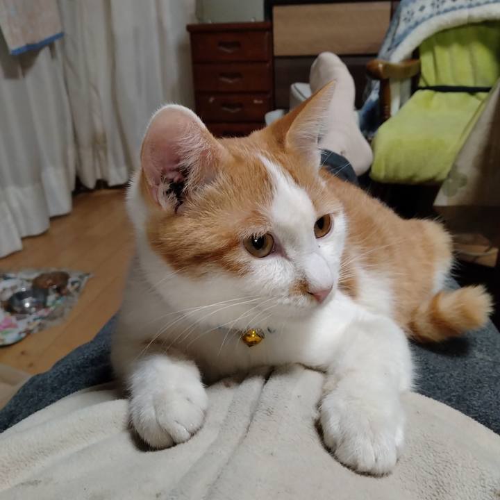 69af44da 92f4 4661 b092 222a474bb018 1737016795885