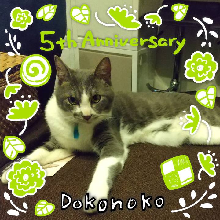 69af5c2f 62a2 4f7e 8d64 44f3bf5229e0 1623066488158