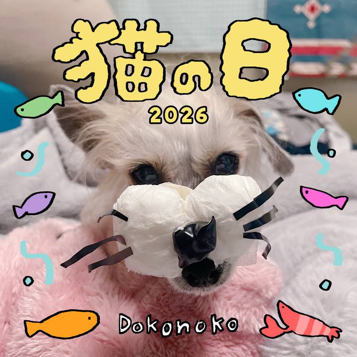 69af614e 4bf5 4ba7 824c 40d88c9ab1dd 1771747712517