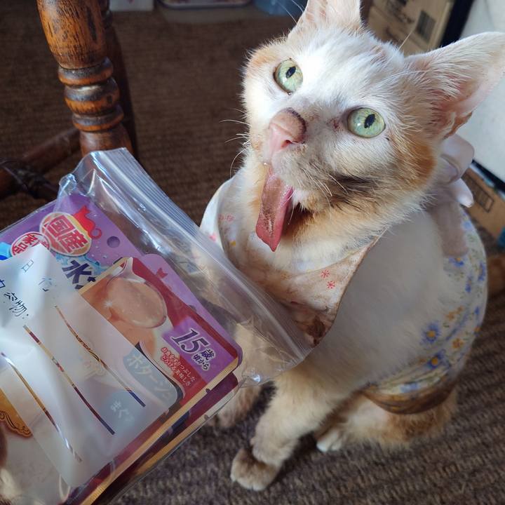 69afa1d2 876b 4850 b86e 473320febb07 1763349409147