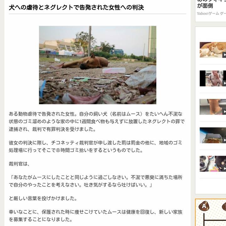 69afd938 f39d 493a aac9 f754f2f3a97d 1525619565227