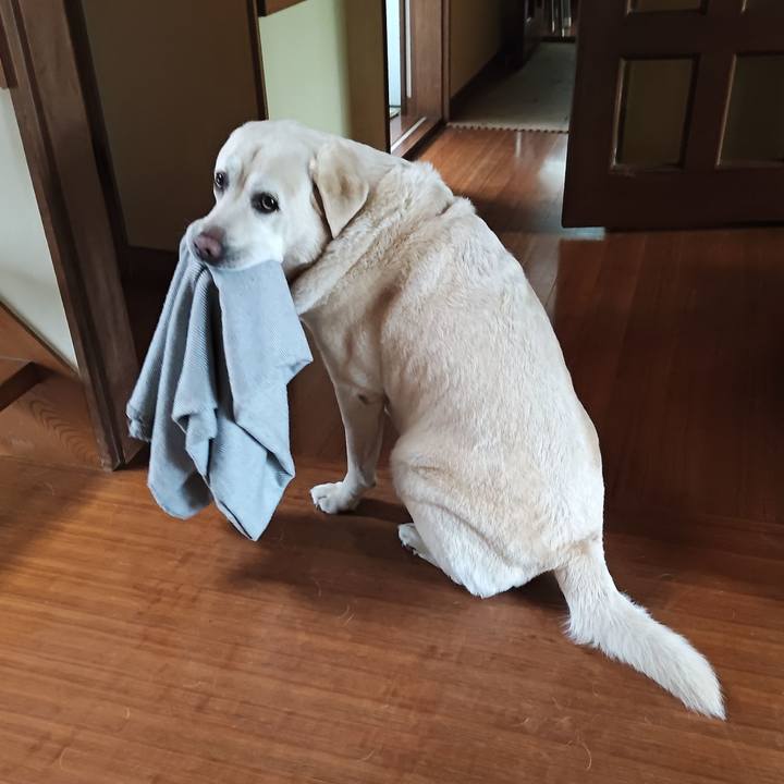 69b00f79 1fe9 46b6 bbd6 67591951b1d5 1760532903154