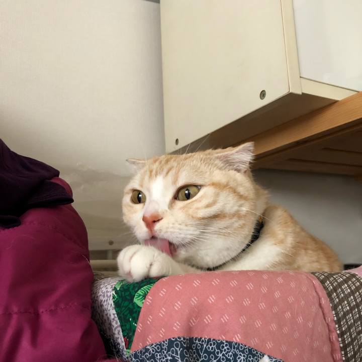 69b04831 fe76 4a58 97d2 06bf39c888bf 1556518032381