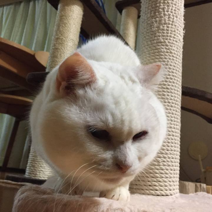 69b08839 9c9f 4d6a ad6c 27ab6afd5d58 1519992134161