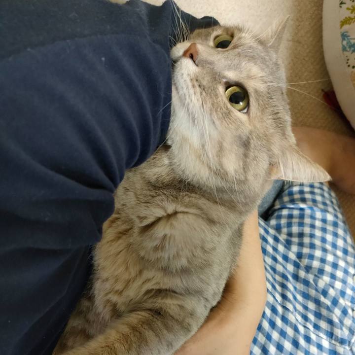 69b0ddc2 34d5 4a00 ad20 111c92a5a465 1662179199600