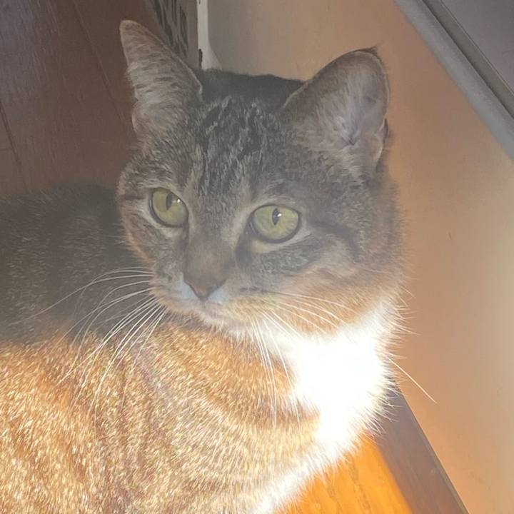 69b17664 78b1 4270 8645 e22a8a2aa06f 1738985299138