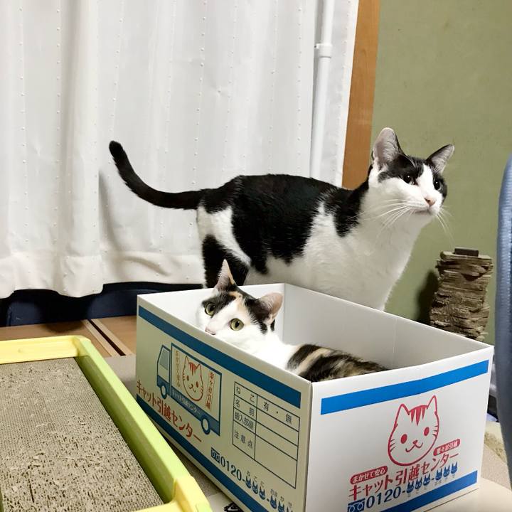 69b182e7 06a8 4e6f 8046 601ab572b107 1537666297531