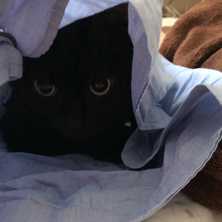 69b1e3c0 505e 4cf3 b696 f5bffdc8f74e 1626302128158