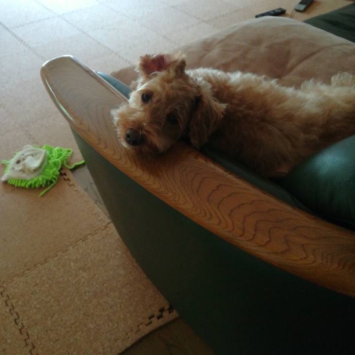 69b24ca7 fd99 4e26 a8c0 3cd9c790b8c1 1563407217719