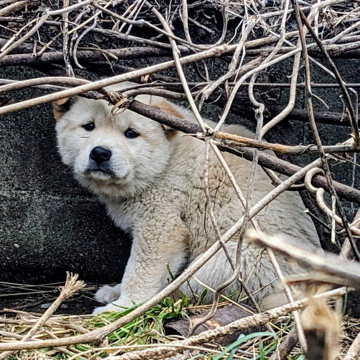 69b24ed3 8063 4c90 8bd6 4a84ef0b6bba 1773224189216