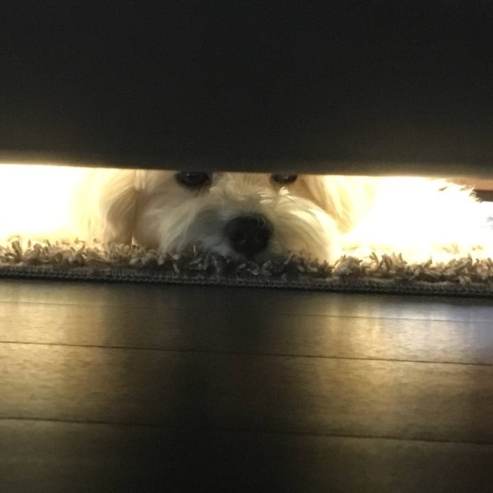 69b2a31e d35d 48e4 93b8 d7d3c51cad4a 1538650291364