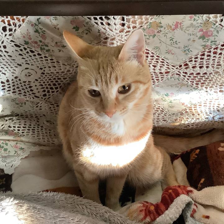 69b2d62c 9473 4e0a 8349 4789e4975103 1768003547889