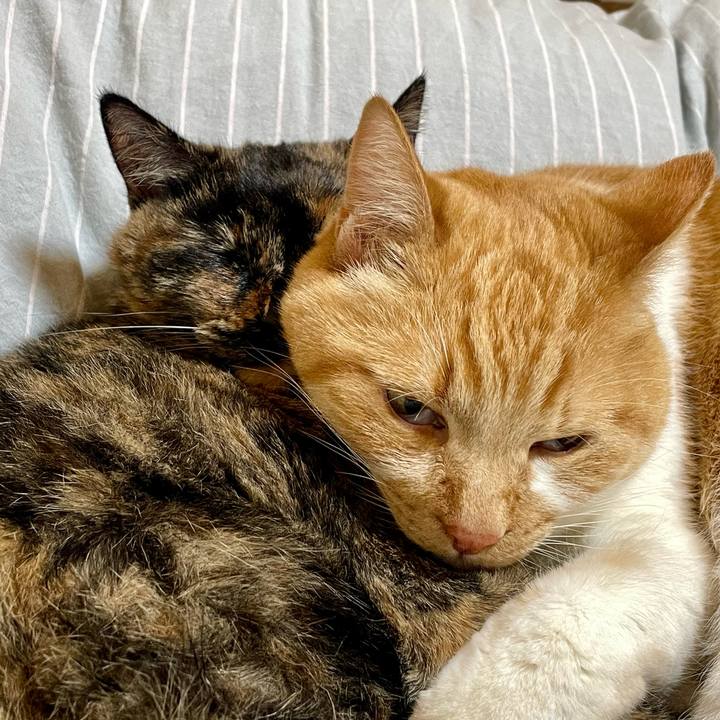 69b2ff09 e45d 49fd baf6 d03631bbe6d7 1767583854645