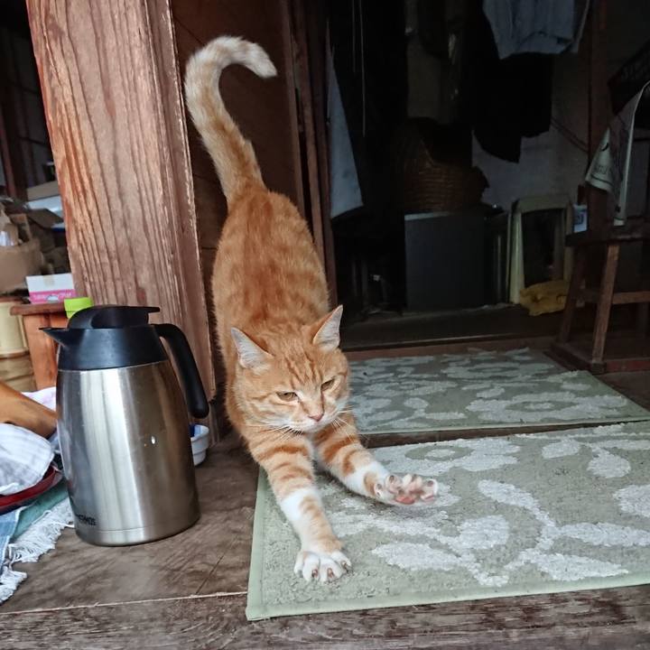 69b30c2b 4a04 41d4 88a8 bfeddec10619 1594977889511