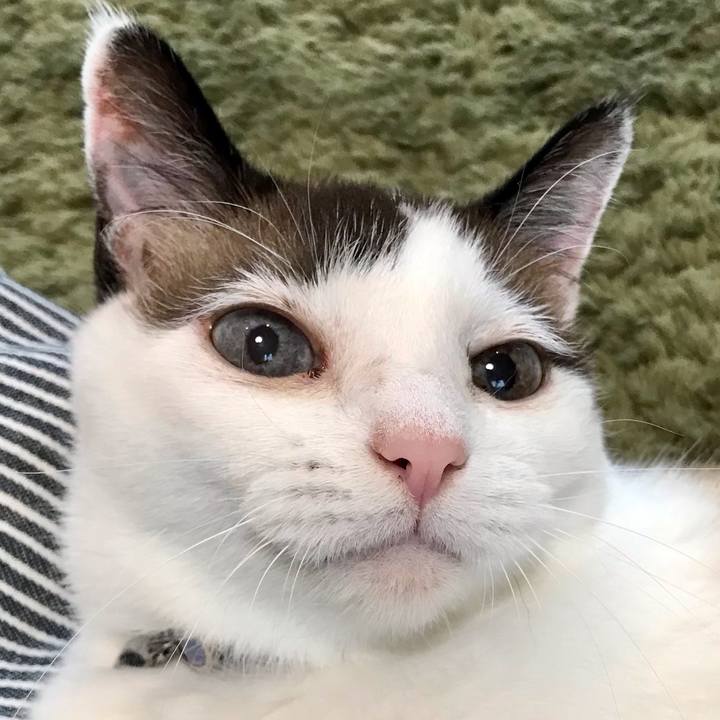 69b31532 07a5 48e6 83f3 d9696ad0f811 1624433607357