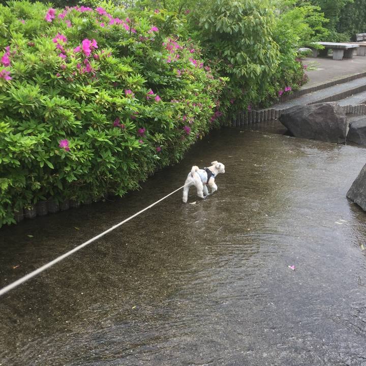 69b349df 8e90 4add 807f 296a5f6ef6e2 1556353643747