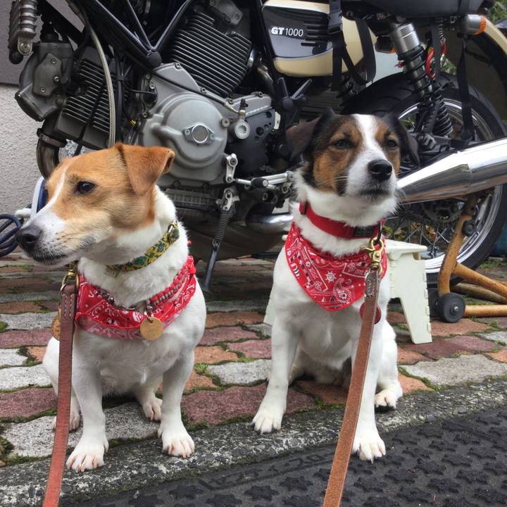 69b349e0 2bcf 4ccd bc8a ed3b9af1b7fd 1556689278201