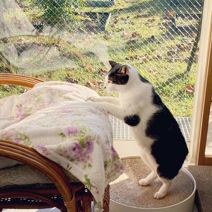 69b418a3 e6f8 4ad5 8fb0 57d91179fac3 1604997087834