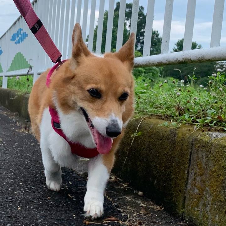 69b42682 1941 4bce 95cb 15f938bf5fac 1720665198671