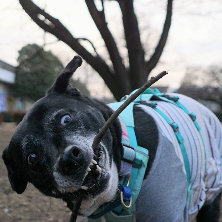 69b449f6 b709 4db7 bbbf f091630c5d34 1769474711997