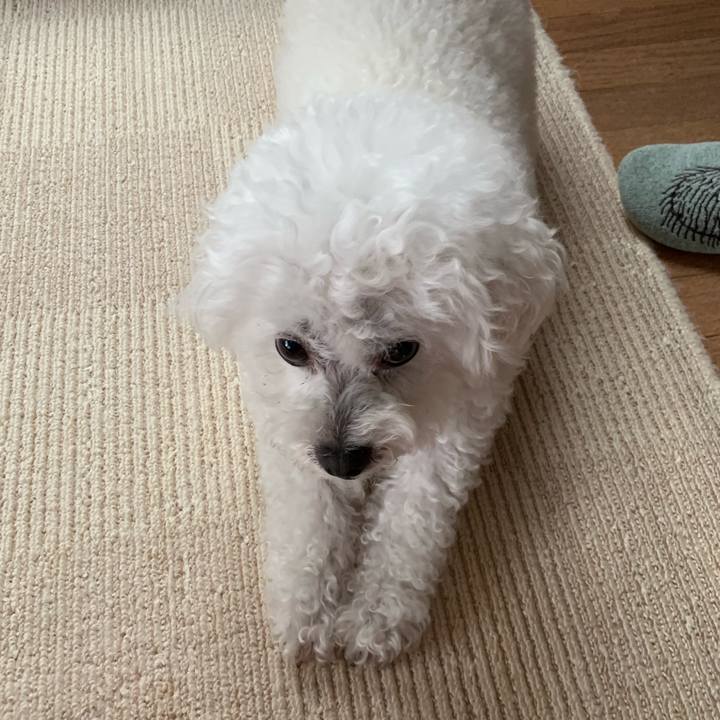 69b4db65 f05a 46ad 879e b72577e83336 1560668352169