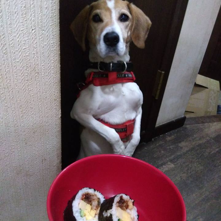 69b502cf 54fe 4894 9431 7e5bbe4e625a 1706967979297