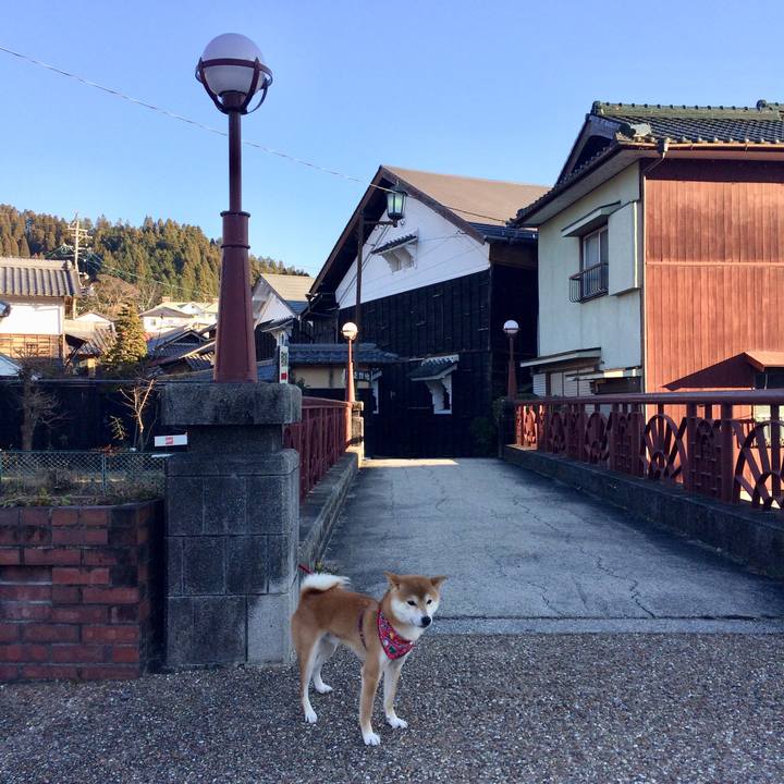 69b518dc 57f4 4fe5 bf1e d5cba12db2a3 1514448332267