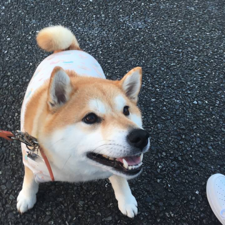 69b52011 b2b2 41e5 82f4 6eb4553162b7 1551781643814