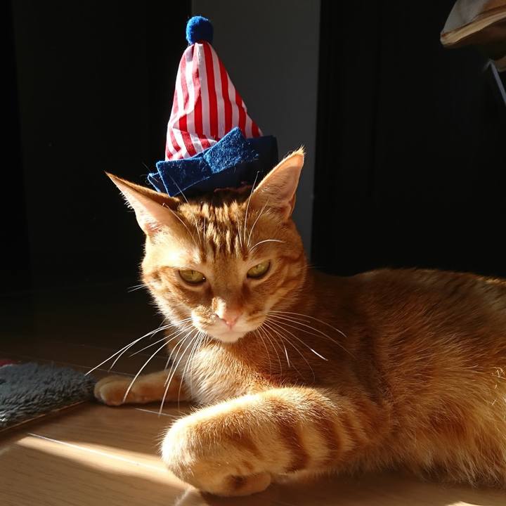 69b5393d d076 4207 99c6 aebd65c31d2c 1600684600691