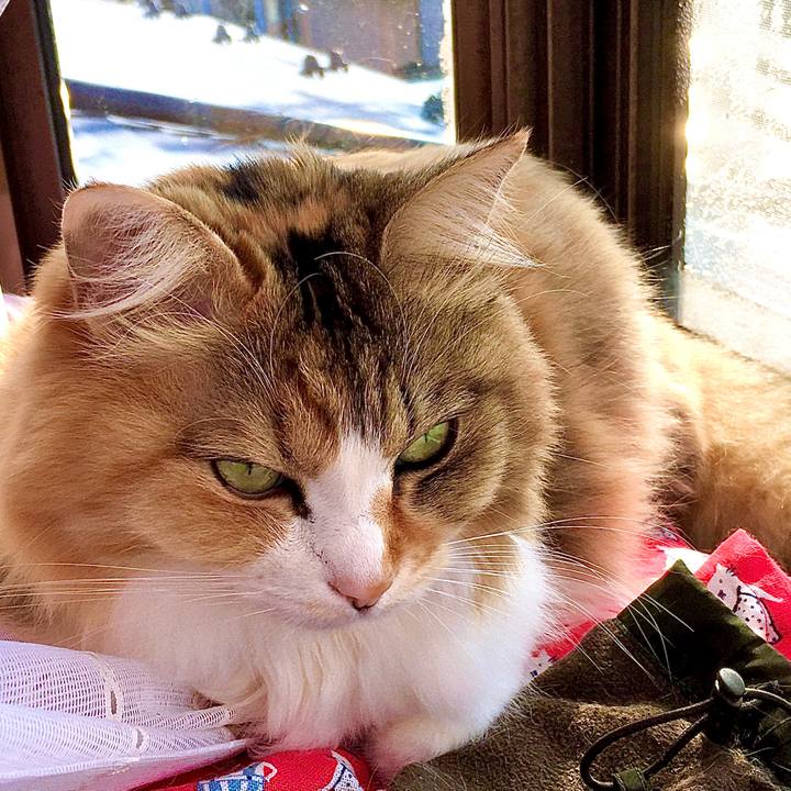 69b58a71 8a69 409a bfb3 15f4ed7617be 1580195864107