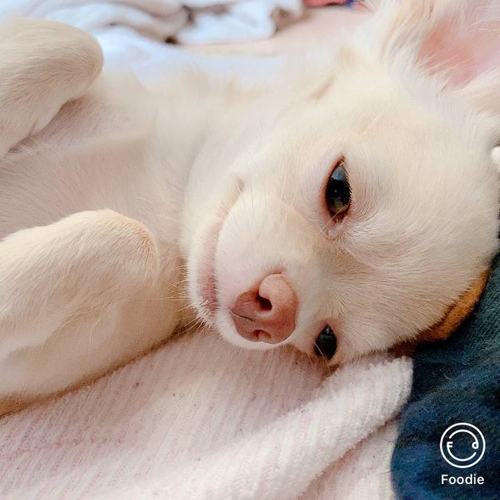 69b5b63c 607c 4c4d 8c28 800ed1ed70b3 1598393252965