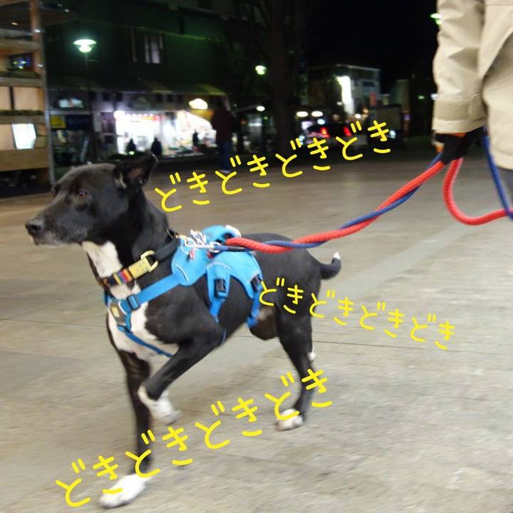 69b5caf3 b79d 4a90 8a11 6be8123fd155 1614422820884