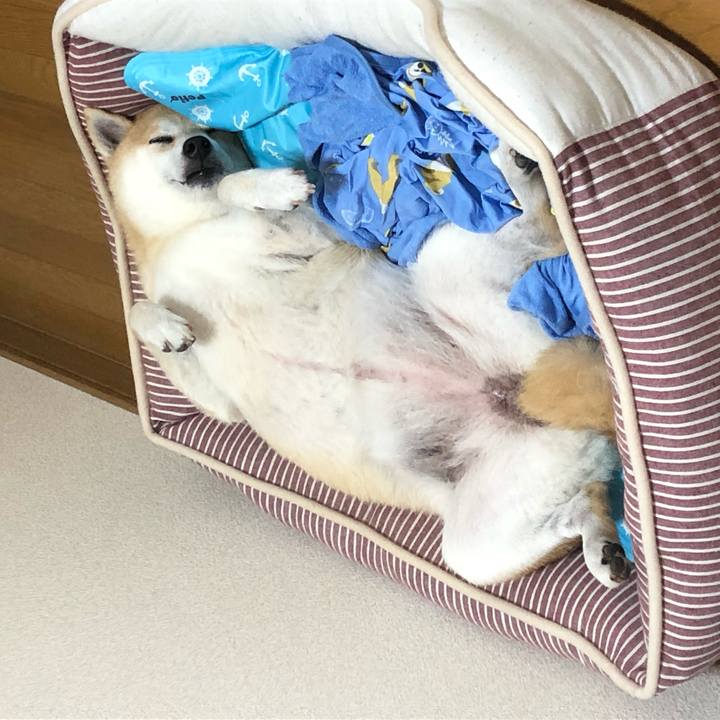 69b5cc39 4875 4fe1 8669 7083169b5030 1564576534499