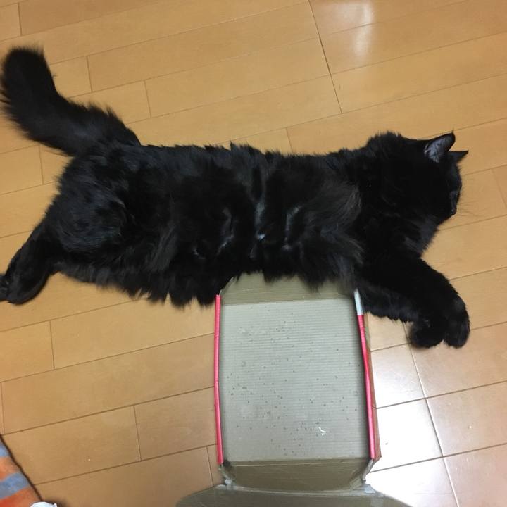 69b5e2fa 9b5f 4ebc 9d2a 8c4e8bfd6a66 1539874143963