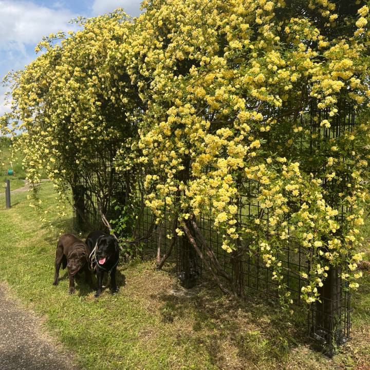 69b5f2b6 43cf 4a57 bb9e 63d6721bfd56 1777288630021