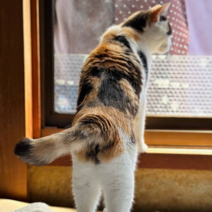 69b6008c 08b9 48ef 92ad e7fcf857da64 1719199538659