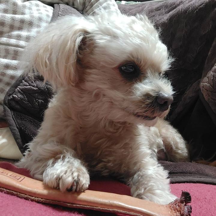 69b615b6 02c0 497c 9a83 82344af27bf8 1739322014328