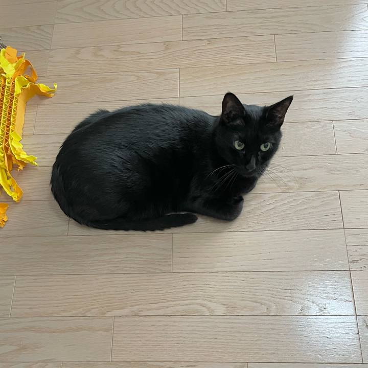 69b61cd4 8111 4407 b9f2 6d562b6b1213 1699761845121