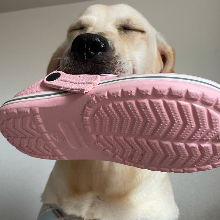 69b633cd 682d 4277 9e65 0e4891e7d5a6 1631242645285