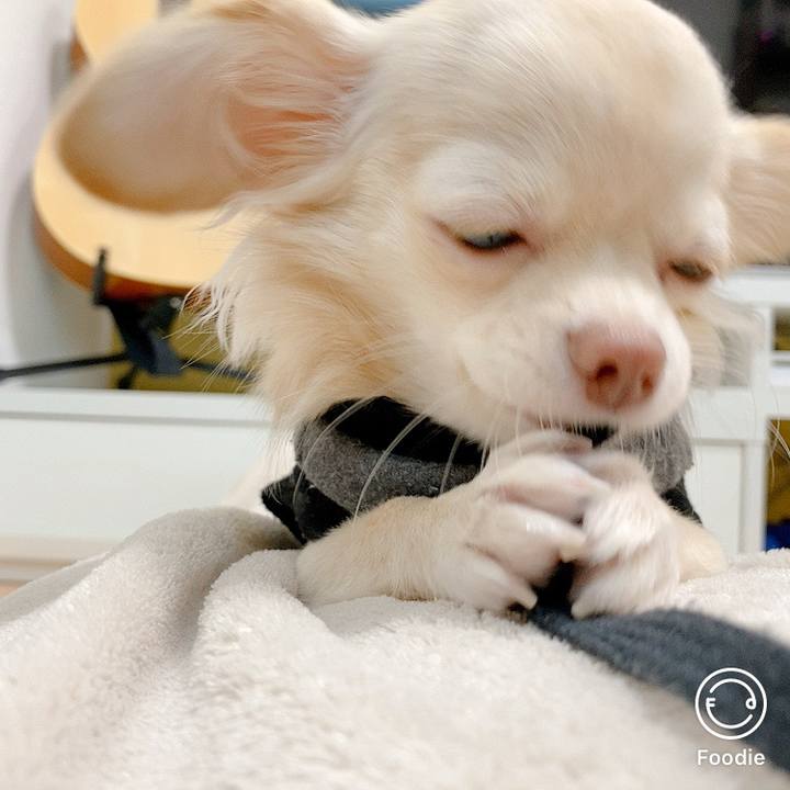 69b67ac9 216d 47a1 a48f 1f46cd827ade 1603091348325