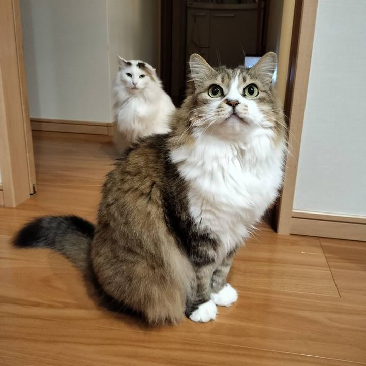 69b6a2ab 8344 4db3 a49d ad4a6c886648 1773891543053