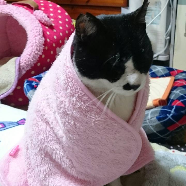 69b6aacf 438f 450d b653 70e58cda6de3 1513165254863