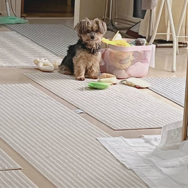 69b6c1a3 5016 4784 b2ab 6d18e133bd4a 1647210494863